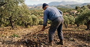Γιώργος Μουλκιώτης: «Δεν μπορεί κάθε νέα καταστροφή να βρίσκει τον αγροτικό κόσμο αντιμέτωπο με τα ίδια κενά και τις ίδιες εκκρεμότητες» Γιώργος Μουλκιώτης: «Δεν μπορεί κάθε νέα καταστροφή να βρίσκει τον αγροτικό κόσμο αντιμέτωπο με τα ίδια κενά και τις ίδιες εκκρεμότητες»