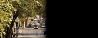 Στέφανος Σταμέλλος: Το σύνθημα για μια βιώσιμη Λαμία πρέπει να είναι: Οι άνθρωποι μαζί με τα δέντρα Στέφανος Σταμέλλος: Το σύνθημα για μια βιώσιμη Λαμία πρέπει να είναι: Οι άνθρωποι μαζί με τα δέντρα