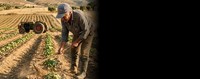 Λευκός καπνός για το ΚΑΕΚ στις φετινές δηλωσεις ΟΣΔΕ Λευκός καπνός για το ΚΑΕΚ στις φετινές δηλωσεις ΟΣΔΕ