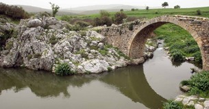 Αμεσοι έλεγχοι στο πόσιμο νερό των Οινοφύτων και στα νερά του Ασωπού Αμεσοι έλεγχοι στο πόσιμο νερό των Οινοφύτων και στα νερά του Ασωπού